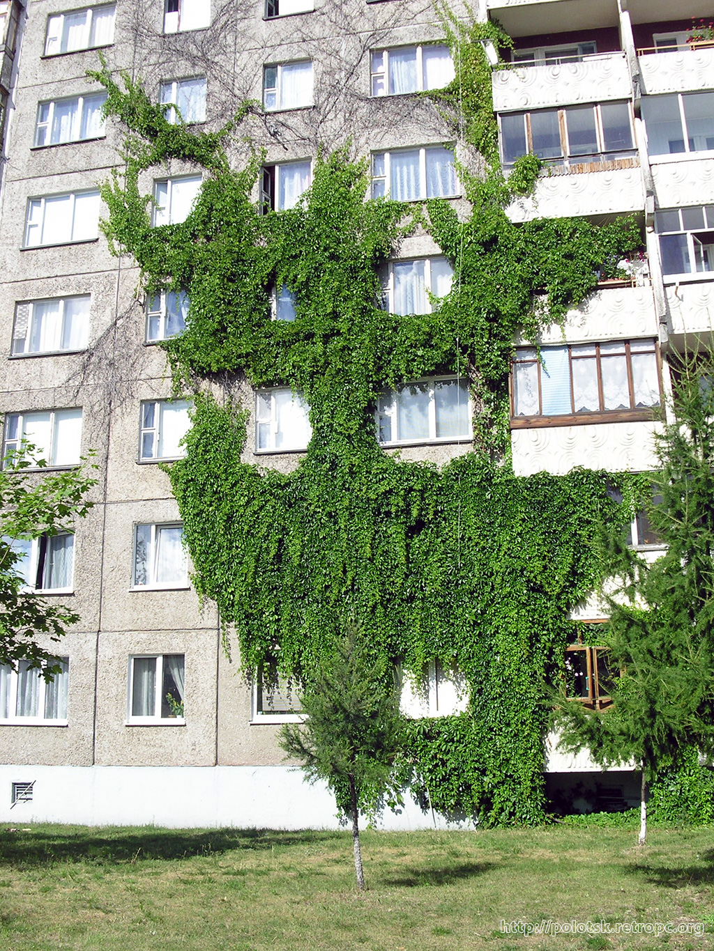 Увитый плющом тирс диониса 7. Декор зданий обвитые деревьями.