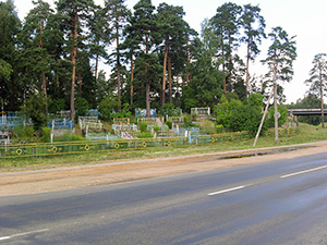 2-я Боровуха - кладбище