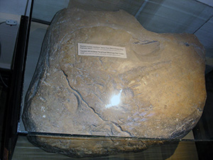 33. Софийский собор - изначальный камень с высеченными надписями XI века